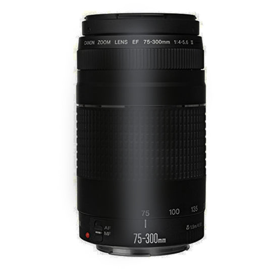 Canon 75-300mm f/4-5.6 III Zoom Lens