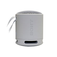Sony XB100 Gray Portable Speaker