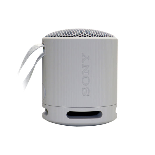 Sony XB100 Gray Portable Speaker