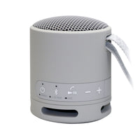 Sony XB100 Gray Portable Speaker