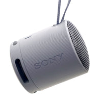 Sony XB100 Gray Portable Speaker